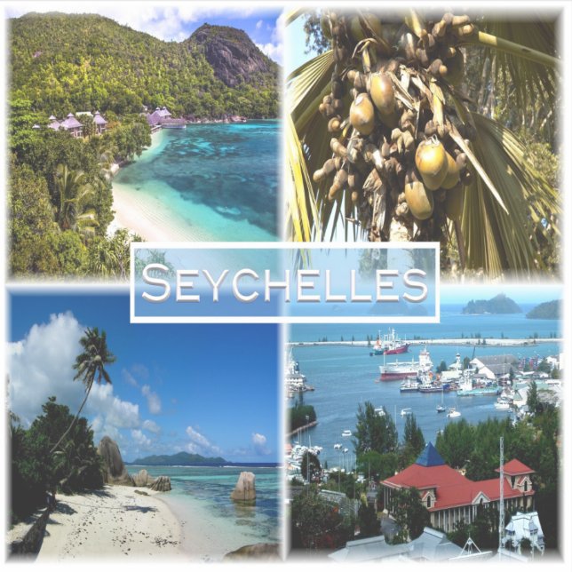 SC Seychelles - Beach Resort - Lodoicea Maldivica Sticker (Front)