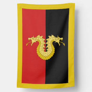 SCA Dragon's Laire House Flag