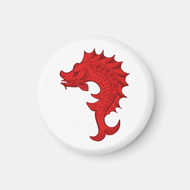 SCA Tir-y-Don Magnet (Front)