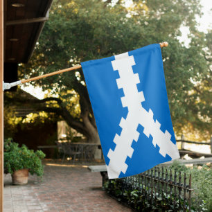 SCA Twin Moons House Flag