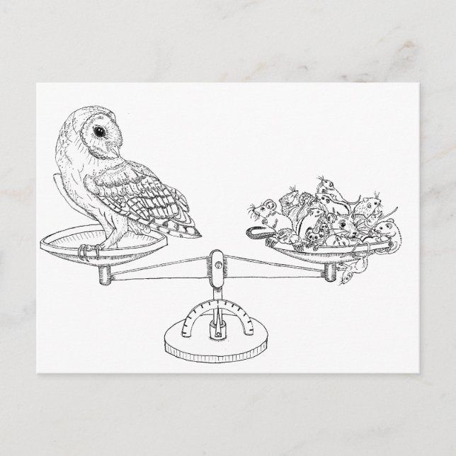 Scale with Barn owl and mice Postcard (Front)