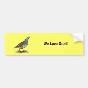 Scaled Quail Bumper Sticker