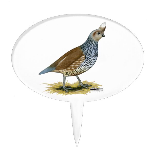Scaled Quail Cake Topper (Front)