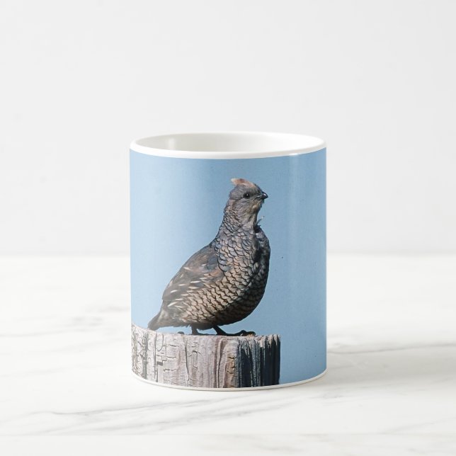 Scaled Quail Coffee Mug (Center)
