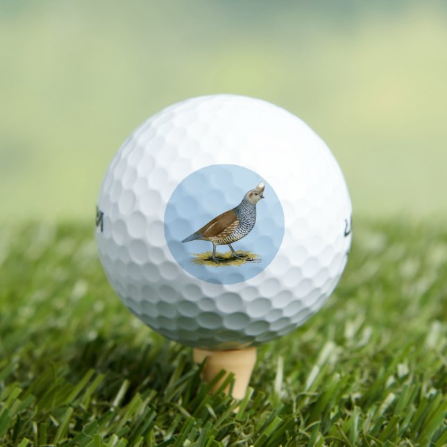 Scaled Quail Golf Balls (Insitu Tee)