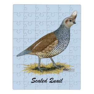 Scaled Quail Jigsaw Puzzle