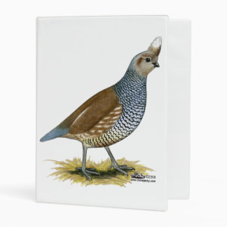 Scaled Quail Mini Binder