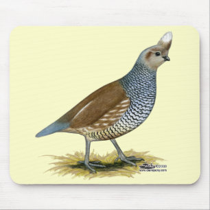 Scaled Quail Mouse Pad