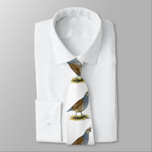 Scaled Quail Neck Tie