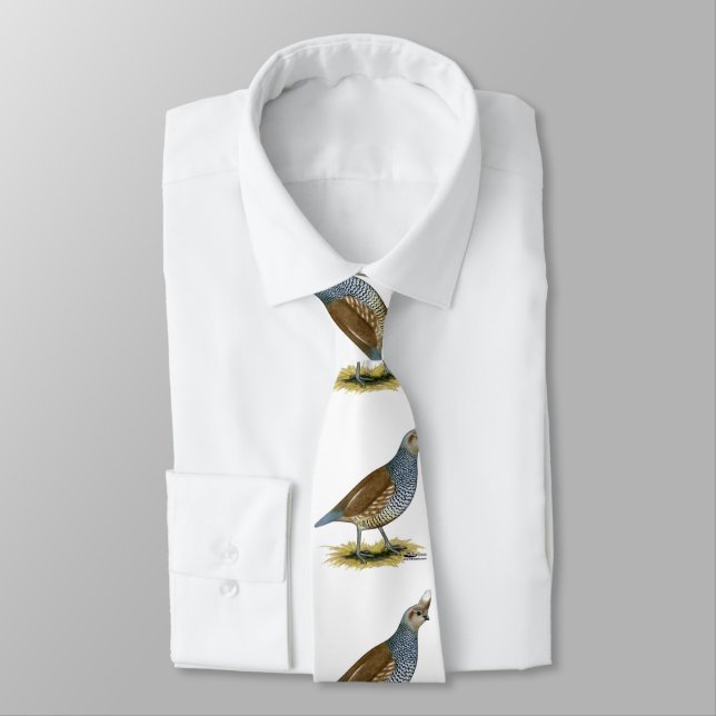Scaled Quail Neck Tie (Tied)