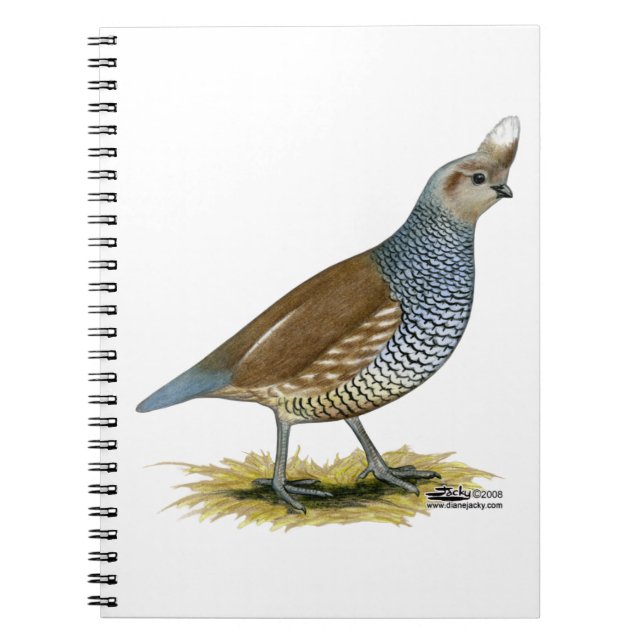 Scaled Quail Notebook (Front)