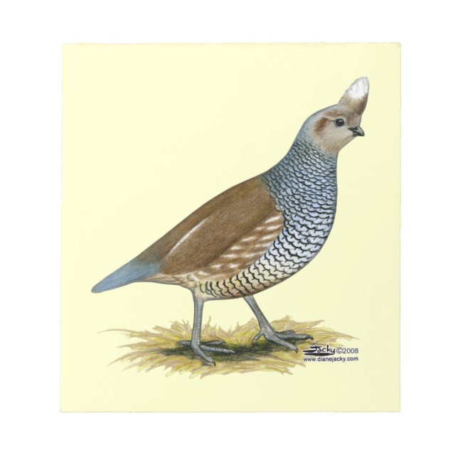 Scaled Quail Notepad (Front)