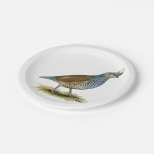 Scaled Quail Paper Plates