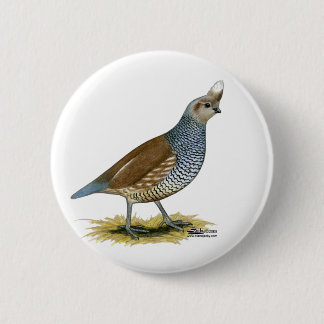 Scaled Quail Pinback Button