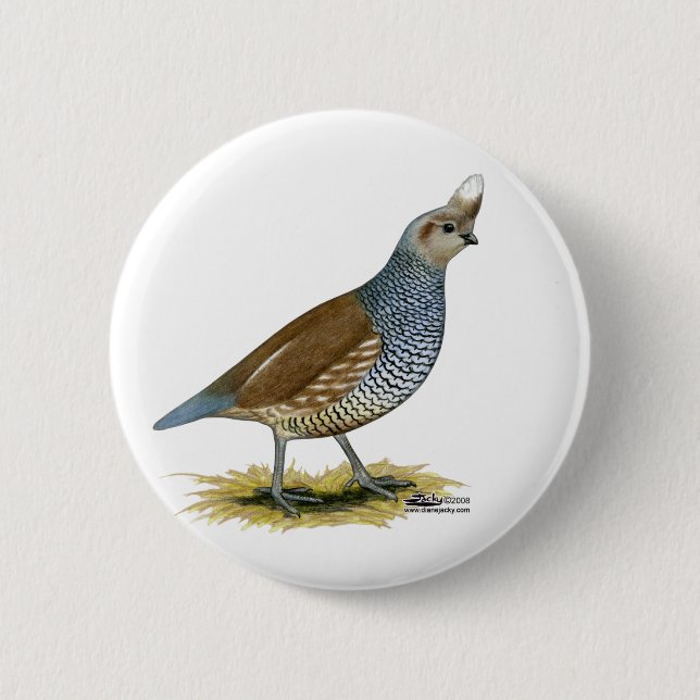 Scaled Quail Pinback Button (Front)