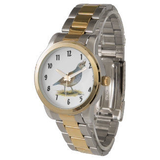 Scaled Quail Watch