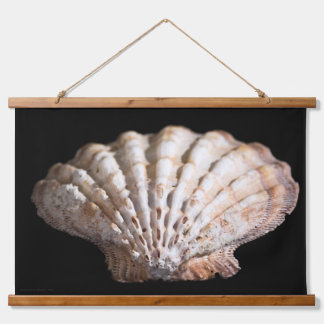Scallop 3236 hanging tapestry