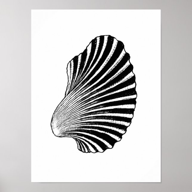 Scallop Shell Block Print, Black and White Poster (Front)