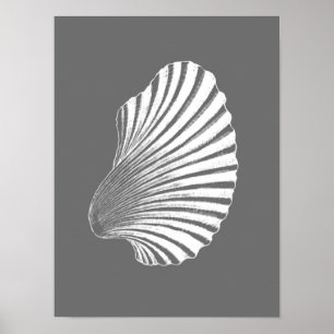 Scallop Shell Block Print, Gray / Grey and White Poster