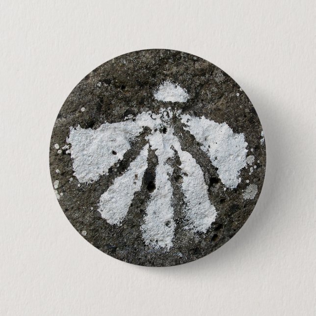 Scallop Shell Button (Front)