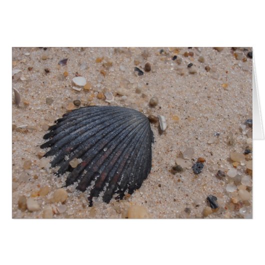 Scallop Shell Card (Front Horizontal)