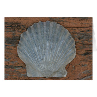 Scallop shell cards