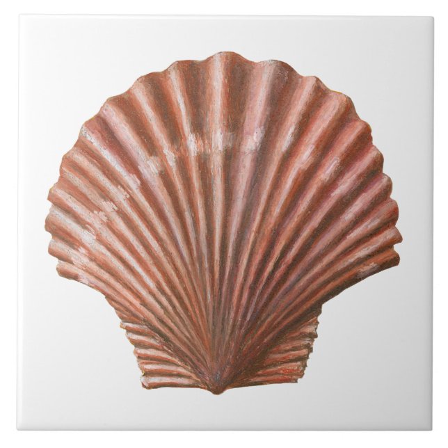 Scallop Shell Ceramic Tile (Front)