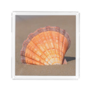 Scallop Shell  Crete, Greece Acrylic Tray