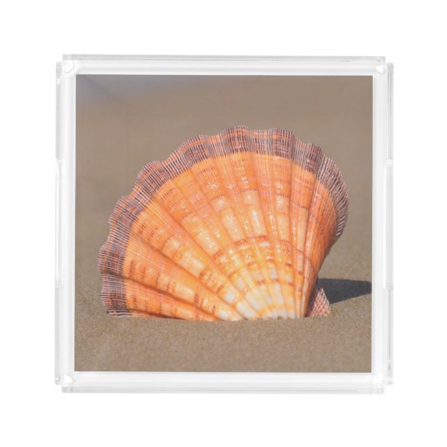Scallop Shell| Crete, Greece Acrylic Tray (Front)