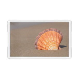 Scallop Shell  Crete, Greece Acrylic Tray
