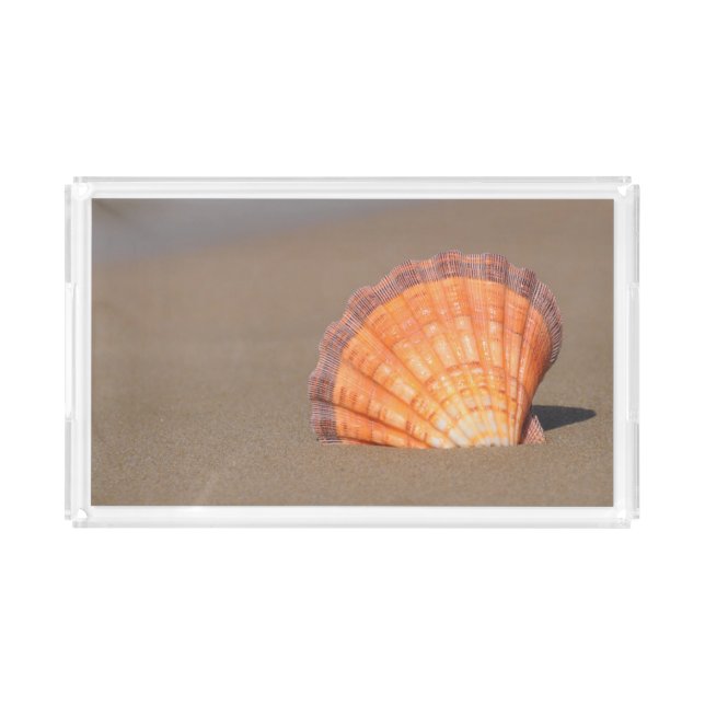 Scallop Shell| Crete, Greece Acrylic Tray (Front)