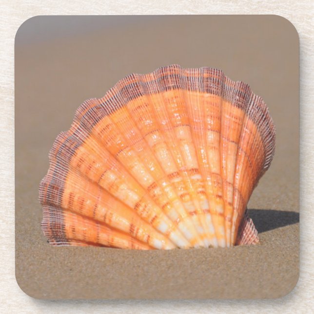 Scallop Shell| Crete, Greece Beverage Coaster (Front)
