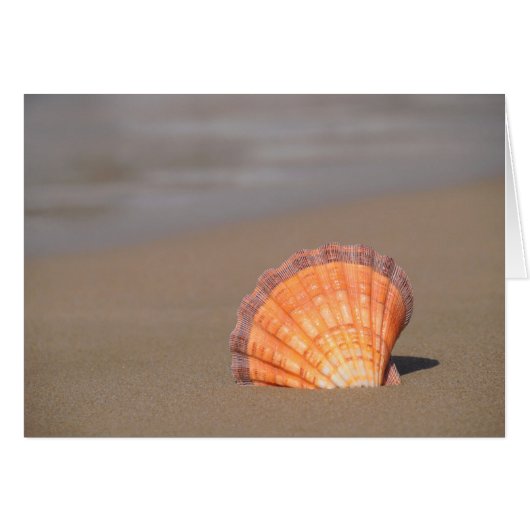 Scallop Shell| Crete, Greece Cards (Front Horizontal)