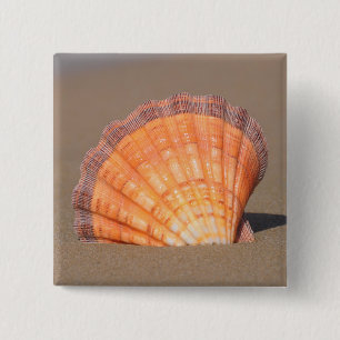 Scallop Shell Crete, Greece Pinback Button