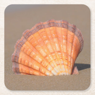 Scallop Shell  Crete, Greece Square Paper Coaster