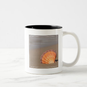 Scallop Shell Crete, Greece Two-Tone Coffee Mug