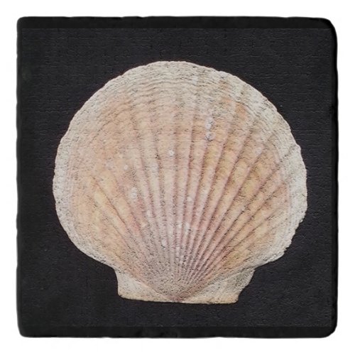 Scallop Shell Custom Marble Stone Trivet