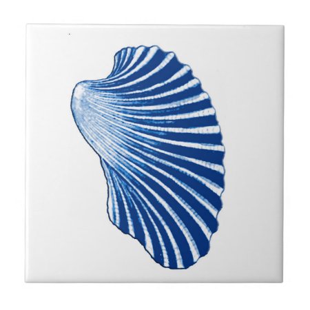Scallop Shell, Indigo Blue And White Ceramic Tile