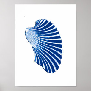 Scallop Shell, Indigo Blue and White Poster