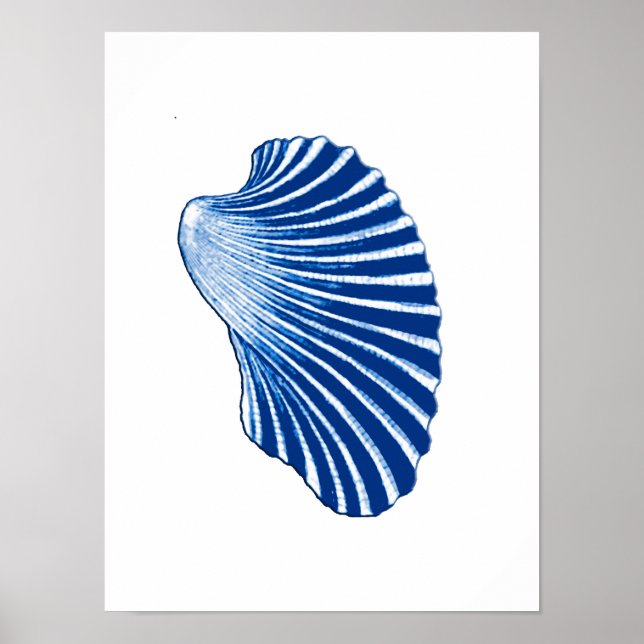 Scallop Shell, Indigo Blue and White Poster (Front)
