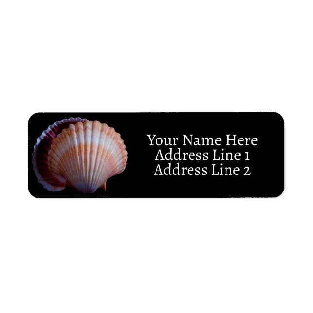 Scallop Shell Label (Front)