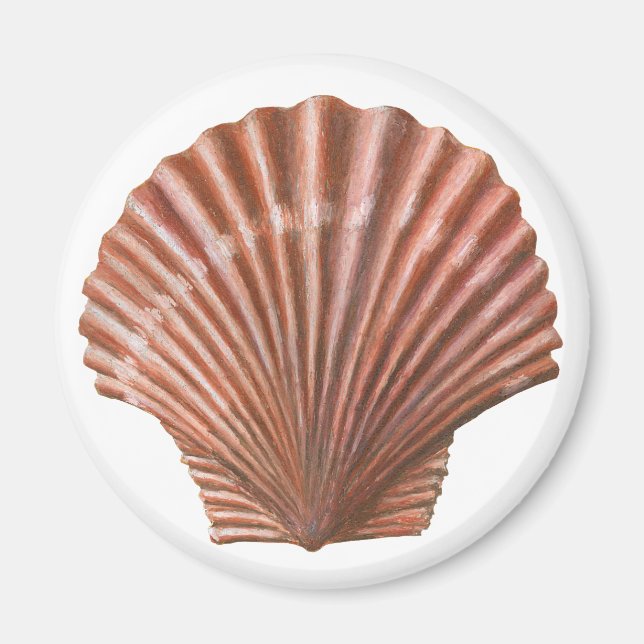 Scallop Shell Magnet (Front)