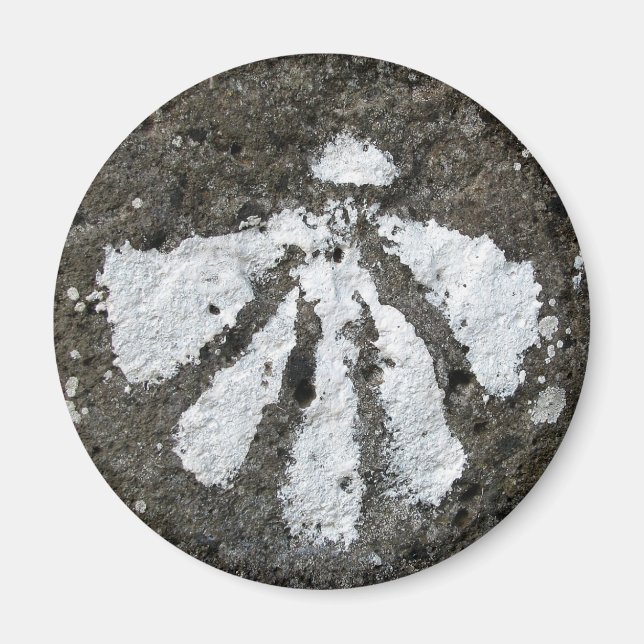 Scallop Shell Magnet (Front)