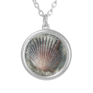 Scallop Shell Silver Plated Necklace