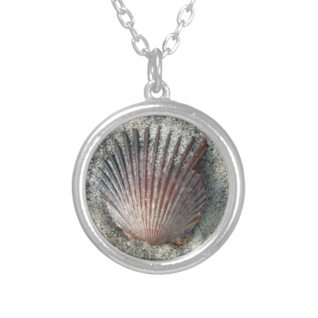 Scallop Shell Silver Plated Necklace (Front)