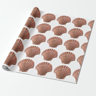 Scallop Shells Wrapping Paper