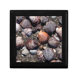Scalloped Colorful Seashells On A Black Sand Keepsake Box