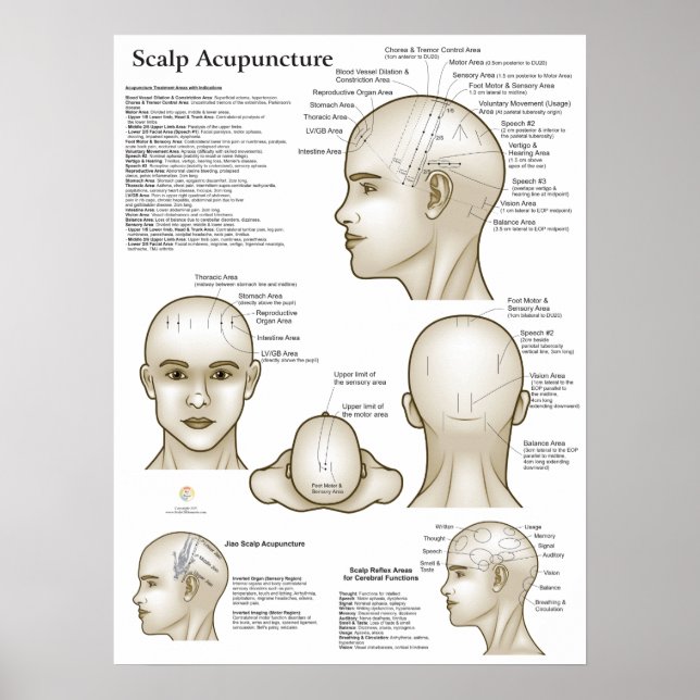 Scalp Head Acupuncture Points Poster (Front)