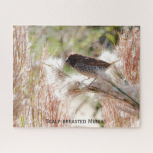 Scaly-breasted Munia; Bird Lover's Jigsaw Puzzle