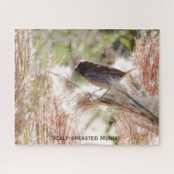 Scaly-breasted Munia; Bird Lover's  Jigsaw Puzzle by PicturesByDesign at Zazzle